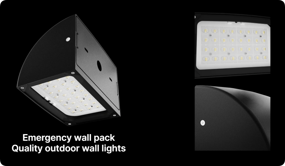 Curved full-cutoff hood profile, downward lens plate and emergency driver compartment details